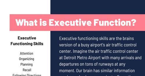 What is executive function? 